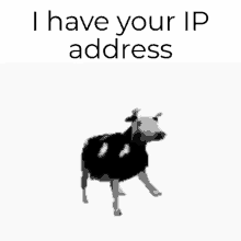 Ip I Have Your Ip Address GIF - Ip I Have Your Ip Address Address GIFs