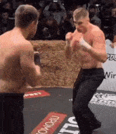 Top Dog Bare Knuckle Fight GIF - Top Dog Bare Knuckle Fight Iz GIFs