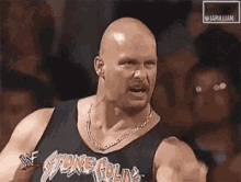 Stone Cold Middle Finger GIF - Stone Cold Middle Finger Fu GIFs
