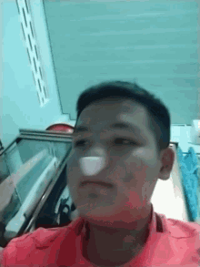 Silly Nose GIF