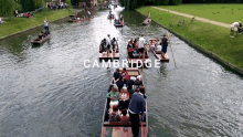 Cambridge Sanyi GIF - Cambridge Sanyi Kingdom GIFs
