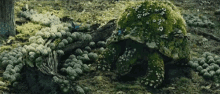 Turtle Camouflage GIF - Turtle Camouflage Moss GIFs