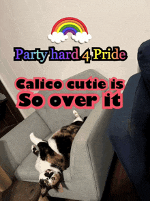 a cat is laying on its back in a chair with the words party hard 4 pride calico cutie is so over it