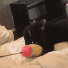 Black Cat Cute GIF - Black Cat Cute Kitten GIFs
