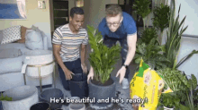 Hes Beautiful And Hes Ready Plant Daddy GIF - Hes Beautiful And Hes Ready Plant Daddy Gardening GIFs