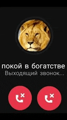 a picture of a lion in a circle with two red circles around it .