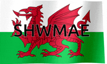 Wales Shwmae GIF - Wales Shwmae Hello GIFs