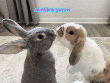 a couple of rabbits standing next to each other with the name melih & yaren on the bottom