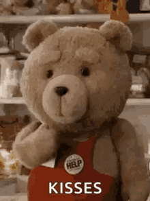 Ted Love You More GIF