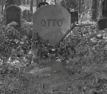 Otto Bruce GIF
