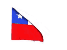 Texas Flag GIF - Texas Flag Wavy GIFs