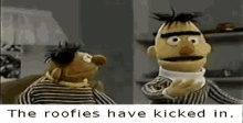 Bert With Ernie Roofies GIF - Bert With Ernie Roofies GIFs