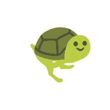 turtlecoin chase
