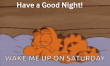 Good Night Friday Hello Saturday Weekend Vibes GIF - Good Night Friday Hello Saturday Good Night Weekend Vibes GIFs