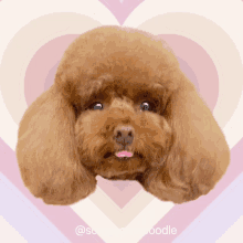 Somesomepoodle GIF - Somesomepoodle GIFs