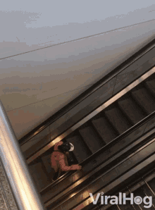 Escalator Wrong Way GIF - Escalator Wrong Way Tough Climb GIFs