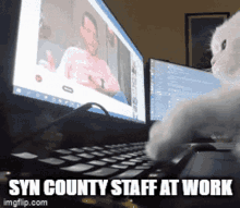 Syn County Staff At Work GIF - Syn County Staff At Work Cat Typing GIFs