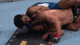 a fighter wearing a pair of ufc gloves