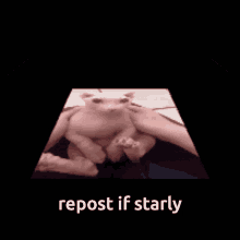 Repost If Starly Starly GIF - Repost If Starly Starly Starlysmiheart GIFs