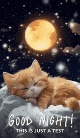 a cat is sleeping on a pillow under a full moon .