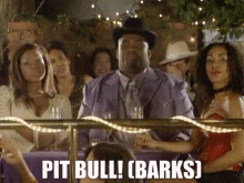 a man in a purple suit is sitting at a table with a group of women and says pit bull barks ..