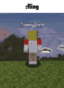 Tommyinnit Mcyt GIF