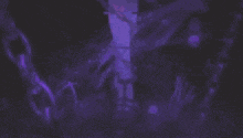 a purple and black background with a blurred image of a forest