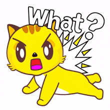 yellow cat tangry shocked what question mark