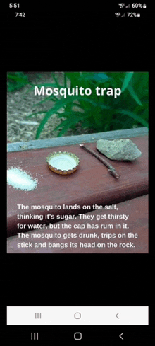 a phone screen shows a mosquito trap made out of salt and rocks