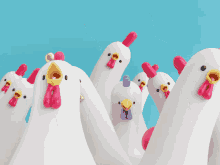 a bunch of white chickens with red beaks and yellow beaks on a blue background
