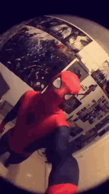 Dab Spiderman GIF - Dab Spiderman Spidey GIFs