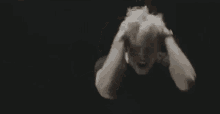 Stressed Angry GIF - Stressed Angry Stop It GIFs