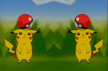 two pokemon are standing next to each other in a grassy field with trees in the background .