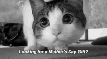 Dont Forget Mothers Day Mothers Day Gift GIF
