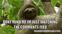 sloth cute smile scratching dont mind me im just watching the comments feed