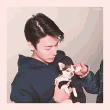Super Junior Donghae GIF - Super Junior Donghae Dog GIFs