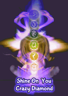 drjoy shine on chakras meditation