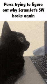a black cat sitting in front of a laptop with the caption percs trying to figure out why scramjet 's sw broke