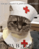 a cat wearing a nurse 's hat with a red cross