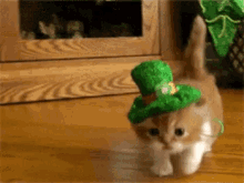 Kitten St Patricks Day GIF - Kitten St Patricks Day GIFs