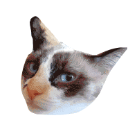 Blair Cat Sticker - Blair Cat Meow Stickers
