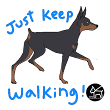danspetcare dog walker dog walking just keep walking