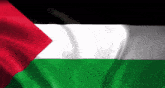 Palestinian Flag Karim GIF - Palestinian Flag Karim GIFs