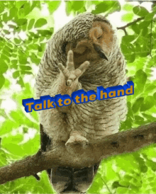 Talk To The Hand GIF - Talk To The Hand GIFs