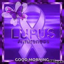 a purple ribbon with the word lupus awareness on it and a butterfly