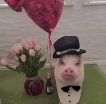 Pig With Hat Eating GIF - Pig With Hat Eating GIFs