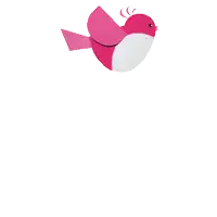 a pink and white bird with a white tail is against a white background