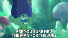 Are You Sure Hes The Man For The Job Branch GIF - Are You Sure Hes The Man For The Job Branch Trolls GIFs