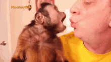Blowing Capuchin Monkey GIF