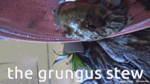 Froggystew Froggystewin GIF - Froggystew Froggystewin Grungus GIFs